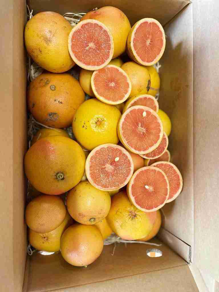 Pompelmo Rosa cassetta 6/10/15 kg - immagine 2
